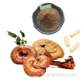 Polysaccharide d&#39;extrait de champignon Reishi Ganoderma lucidum